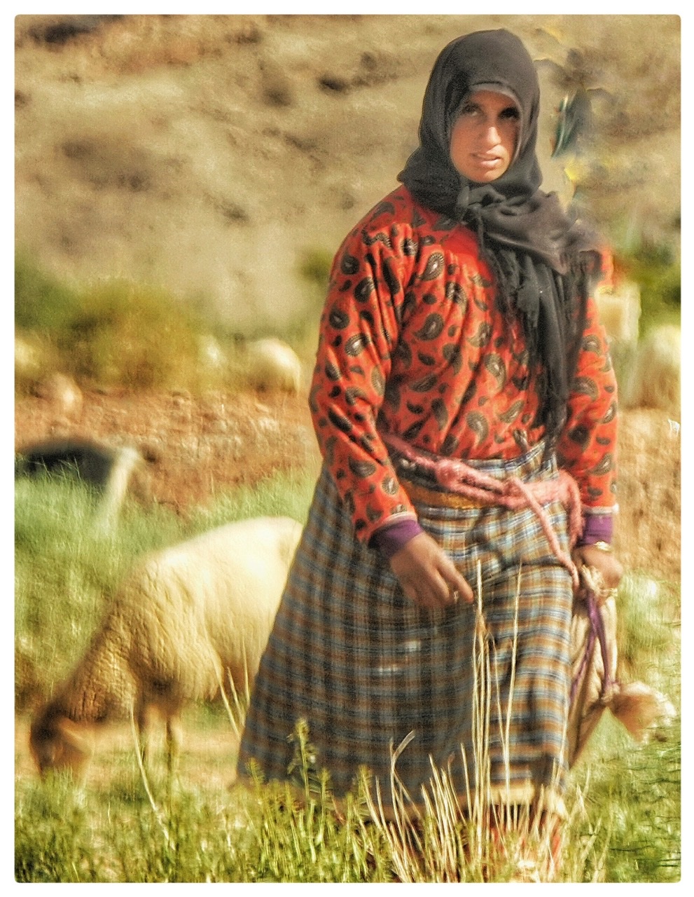 3rd PrizeOpen Color In Class 1 By Marie Roberts For Shepherd Of The Flock  Morocco DEC-2020.jpg